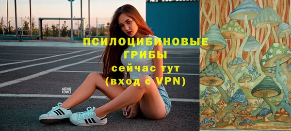 тгк Нефтекумск