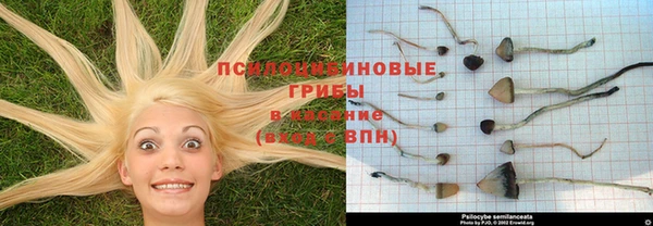 MDMA Premium VHQ Нефтегорск