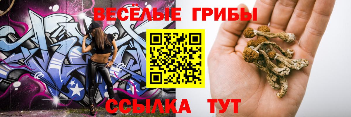 продажа наркотиков  Галлюциногенные грибы Psilocybe  Галлюциногенные грибы мицелий  Вход с VPN  Реутов 